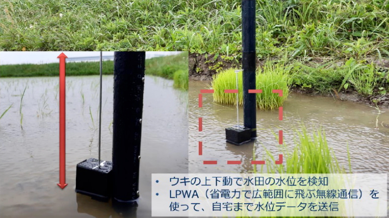 乾燥地の水をめぐる知識とノウハウ 食料・農業・環境を守る水利用・水管理学/技報堂出版/北村義信（単行本（ソフトカバー）） 乾燥地の水をめぐる知識とノウハウ ―食料・農業・環境を守る水利用・水