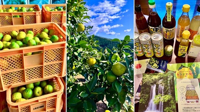 農業を子どもたちに魅力ある職業に、次世代のゆずづくりを北川村×NSSOL