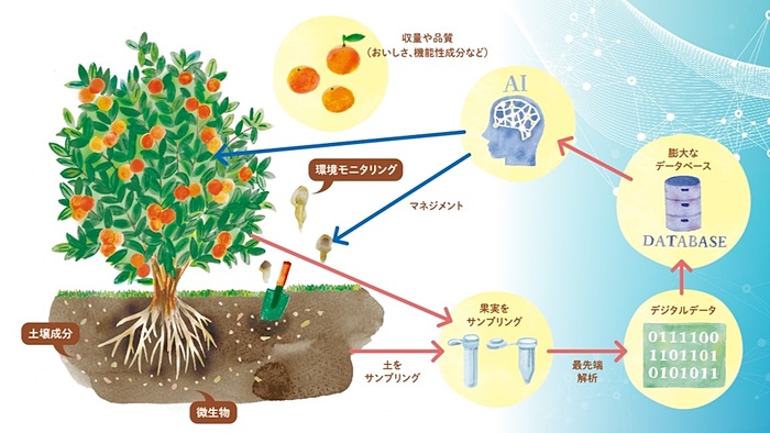 持続可能な環境再生型農業のためのデジタルツイン、NTT西日本などが